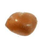 蒸し卵（個別スタンプ：3）
