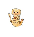 キュートドッグ（個別スタンプ：1）