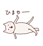 猫のにゃー 関西弁（個別スタンプ：22）