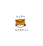 あいカモ（個別スタンプ：11）