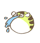 南米淡水ふぐ（個別スタンプ：24）