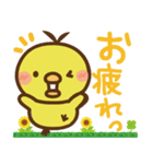 豆ひよこ（個別スタンプ：3）