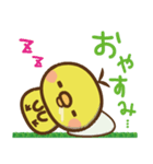 豆ひよこ（個別スタンプ：16）