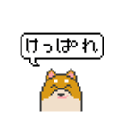 ドット絵！北海道弁の柴犬（個別スタンプ：4）