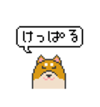 ドット絵！北海道弁の柴犬（個別スタンプ：5）