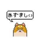 ドット絵！北海道弁の柴犬（個別スタンプ：6）