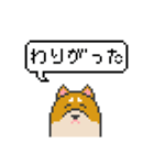 ドット絵！北海道弁の柴犬（個別スタンプ：8）