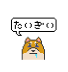 ドット絵！北海道弁の柴犬（個別スタンプ：10）