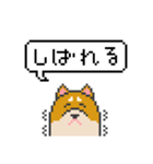 ドット絵！北海道弁の柴犬（個別スタンプ：18）