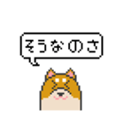ドット絵！北海道弁の柴犬（個別スタンプ：24）