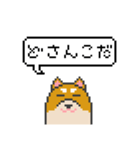 ドット絵！北海道弁の柴犬（個別スタンプ：27）