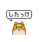 ドット絵！北海道弁の柴犬（個別スタンプ：28）