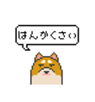 ドット絵！北海道弁の柴犬（個別スタンプ：30）