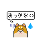 ドット絵！北海道弁の柴犬（個別スタンプ：31）