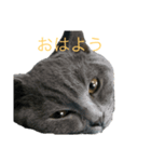 うに(第一弾)（個別スタンプ：1）