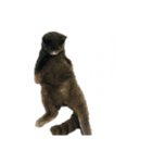 うに(第一弾)（個別スタンプ：3）