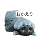 うに(第一弾)（個別スタンプ：4）