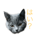 うに(第一弾)（個別スタンプ：8）