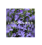 丁寧なフラワーシャワー2（個別スタンプ：4）