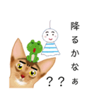 アビにゃん 夏ver.（個別スタンプ：2）