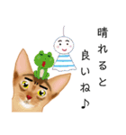 アビにゃん 夏ver.（個別スタンプ：4）