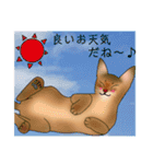 アビにゃん 夏ver.（個別スタンプ：5）