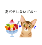 アビにゃん 夏ver.（個別スタンプ：10）