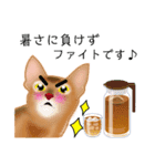 アビにゃん 夏ver.（個別スタンプ：12）