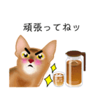 アビにゃん 夏ver.（個別スタンプ：13）