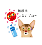 アビにゃん 夏ver.（個別スタンプ：14）