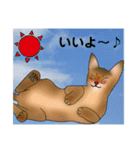 アビにゃん 夏ver.（個別スタンプ：17）