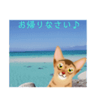 アビにゃん 夏ver.（個別スタンプ：22）