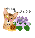 アビにゃん 夏ver.（個別スタンプ：30）