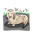 夏にかけてぐうたらするのんびりだっくす（個別スタンプ：2）