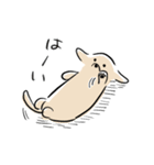 夏にかけてぐうたらするのんびりだっくす（個別スタンプ：13）