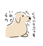 夏にかけてぐうたらするのんびりだっくす（個別スタンプ：19）