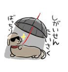 夏にかけてぐうたらするのんびりだっくす（個別スタンプ：33）