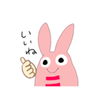 うささー2（個別スタンプ：1）