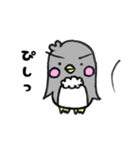 まゆげペンギン(♂)とドライな彼女（個別スタンプ：21）