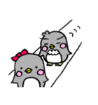 まゆげペンギン(♂)とドライな彼女（個別スタンプ：35）