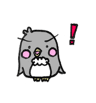 まゆげペンギン(♂)とドライな彼女（個別スタンプ：39）