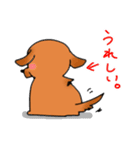 ウチのMダックス♪（個別スタンプ：1）