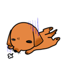 ウチのMダックス♪（個別スタンプ：2）