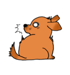 ウチのMダックス♪（個別スタンプ：3）