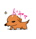 ウチのMダックス♪（個別スタンプ：4）