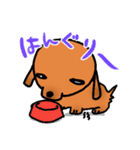 ウチのMダックス♪（個別スタンプ：12）