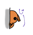 ウチのMダックス♪（個別スタンプ：14）