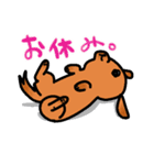 ウチのMダックス♪（個別スタンプ：17）