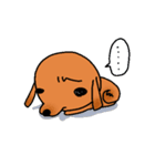 ウチのMダックス♪（個別スタンプ：24）