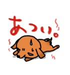 ウチのMダックス♪（個別スタンプ：29）